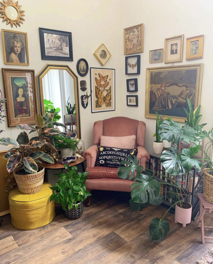 Vintage Nook with Swiss Cheese Plant