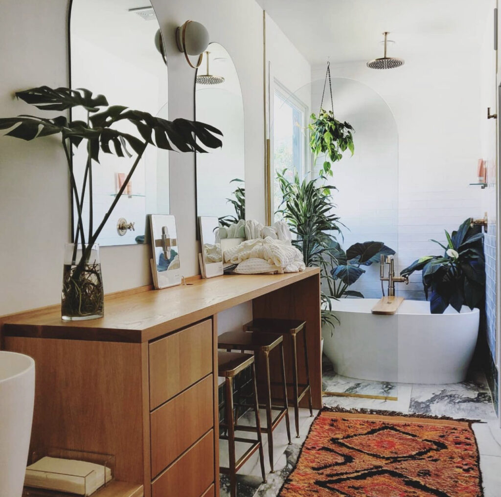 This Vanity Area with Plants