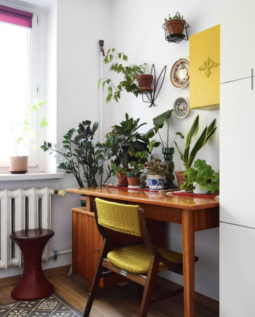 Antique Desk with Hanging Plants