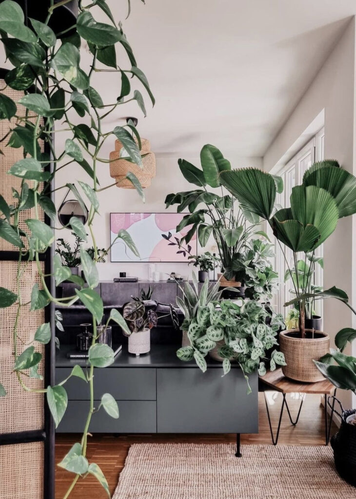 Simple Living Room with Tall Plants