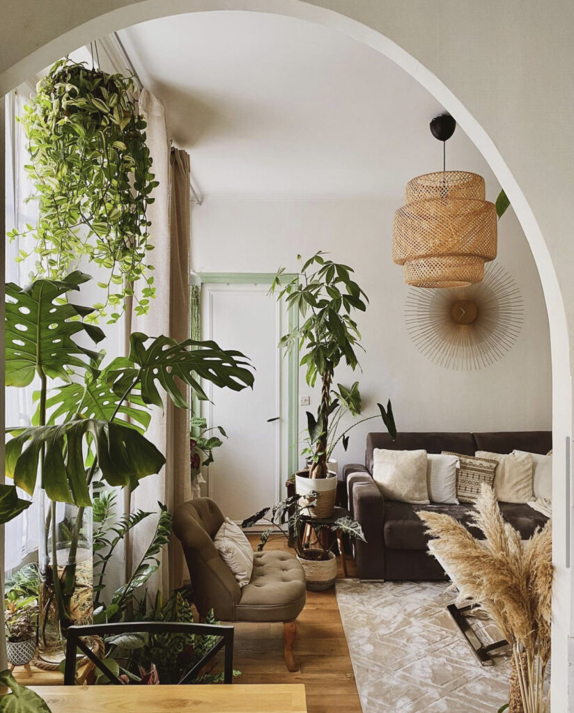 Simple Boho Living Room with Pampas Grass