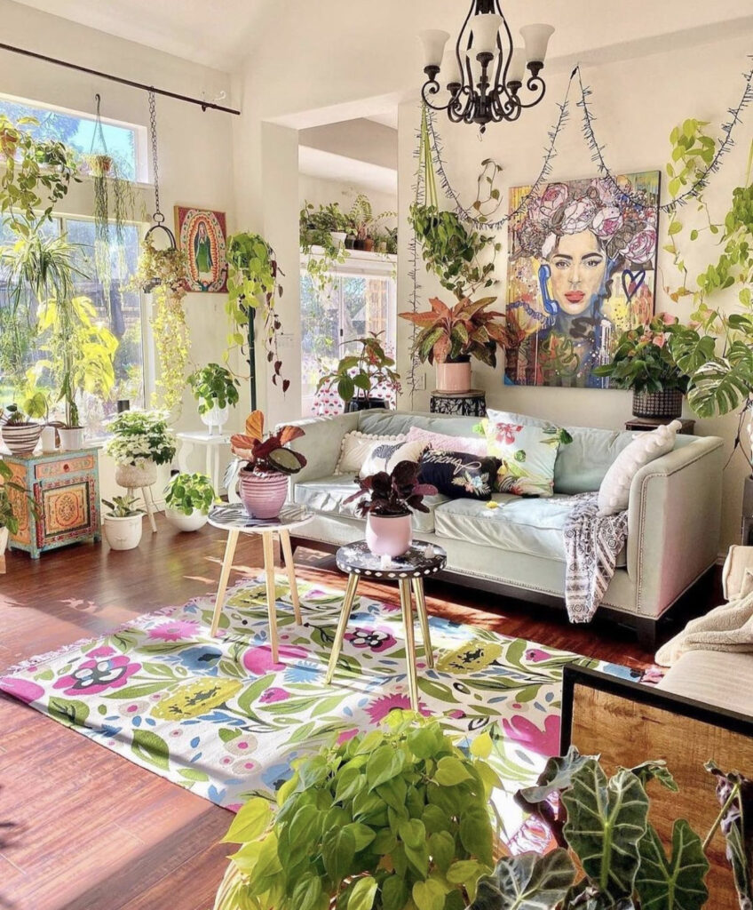 Colorful & Bright Space with Plants