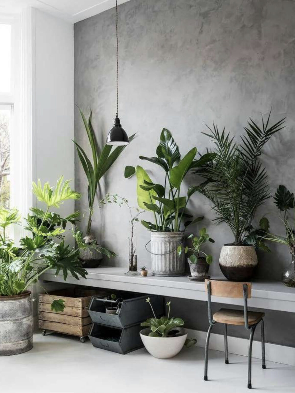 40 House Plant Decor Ideas for Every Room of the House - Days Inspired