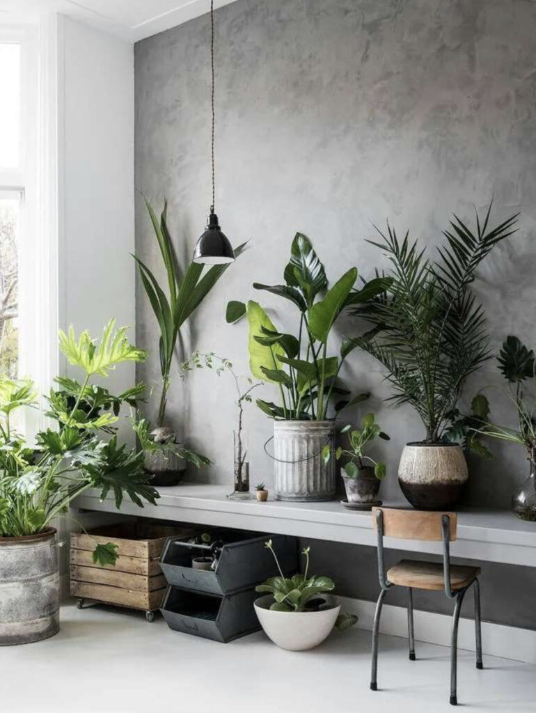 Modern Industrial Desk with Plants