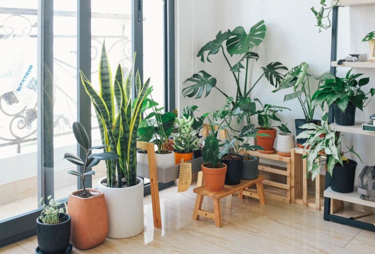 40 House Plant Decor Ideas for Every Room of the House