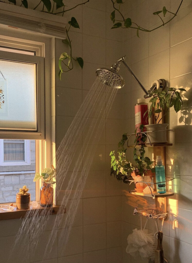 Simple Sunlit Shower with Vining Plants