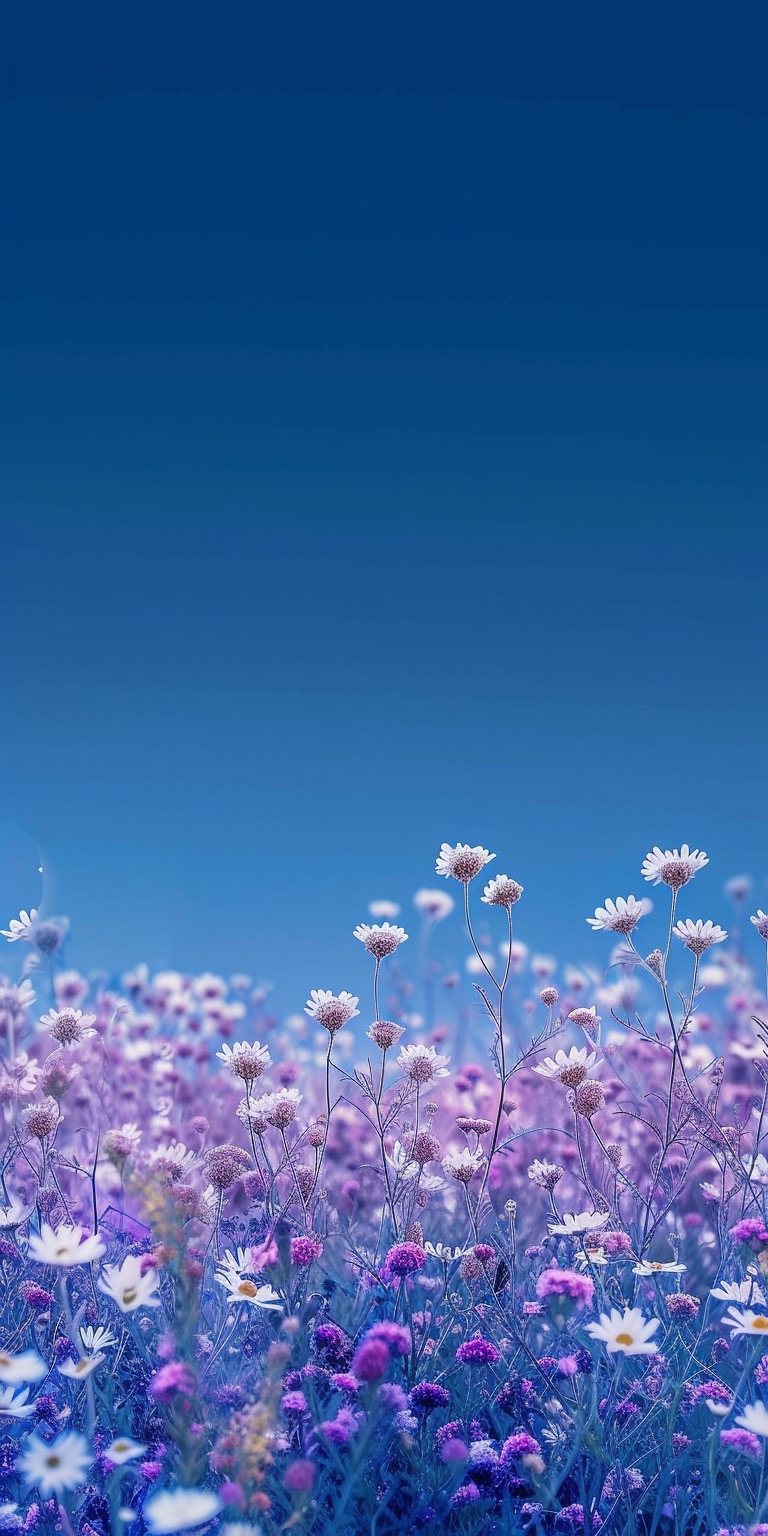 Blue & purple ethereal daisies phone wallpapers